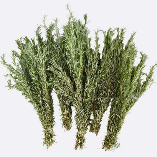 Fresh Rosemary Sprig Bundles